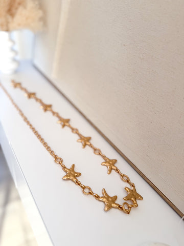 Cinturón Estrella Mar