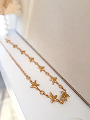 Cinturón Estrella Mar