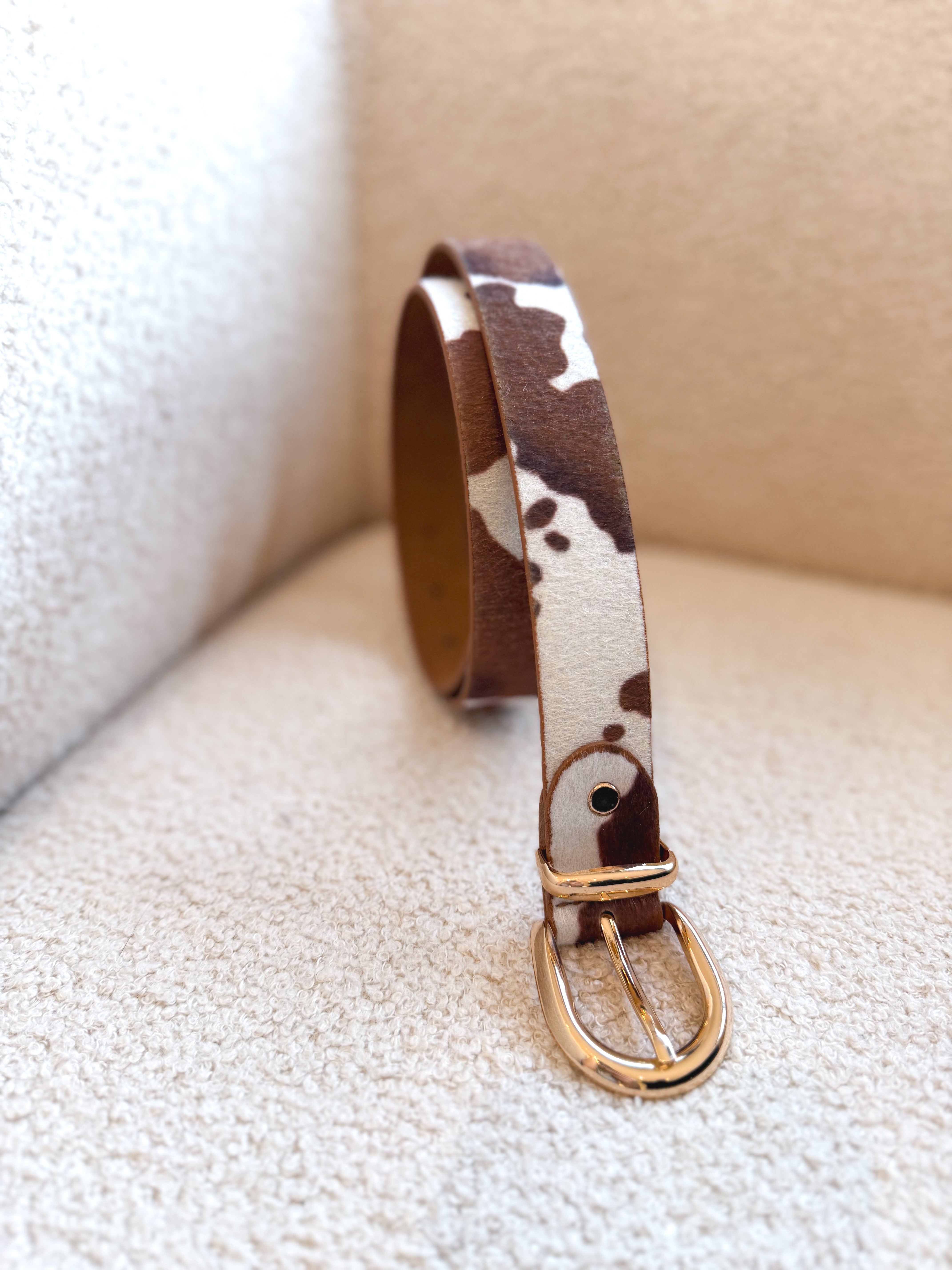 Cinturón animal cow