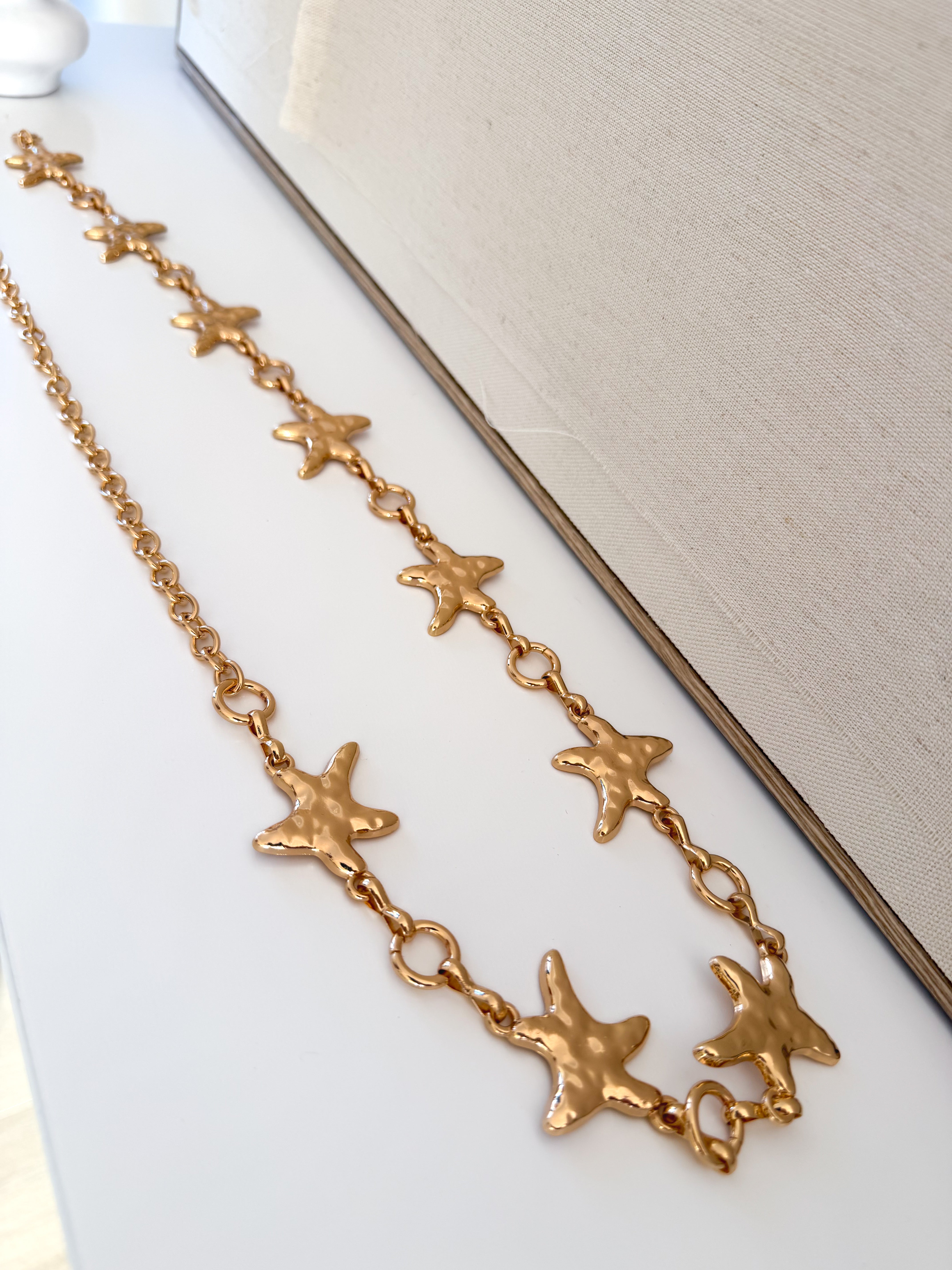 Cinturón Estrella Mar