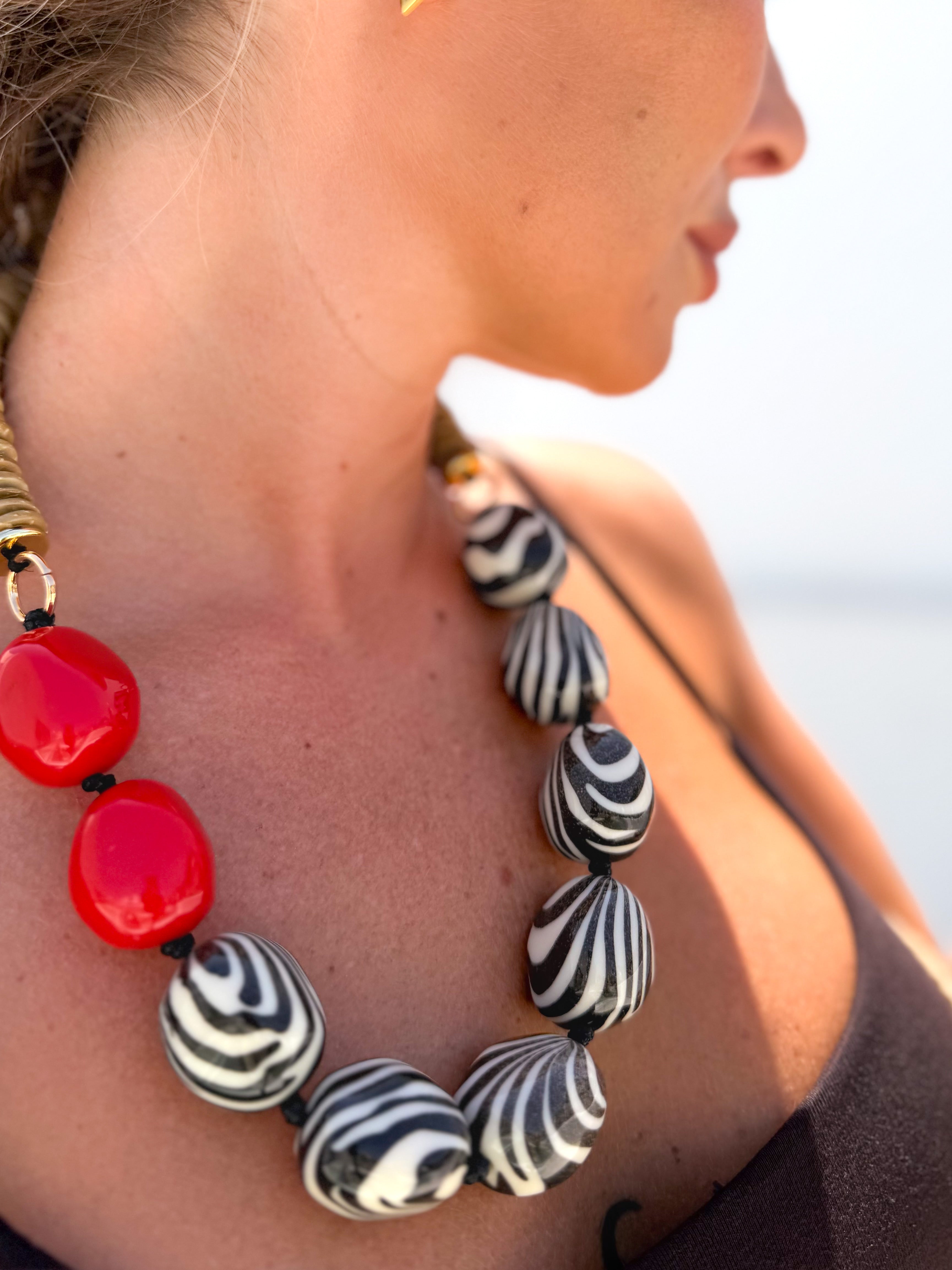 Collar cebra combinado