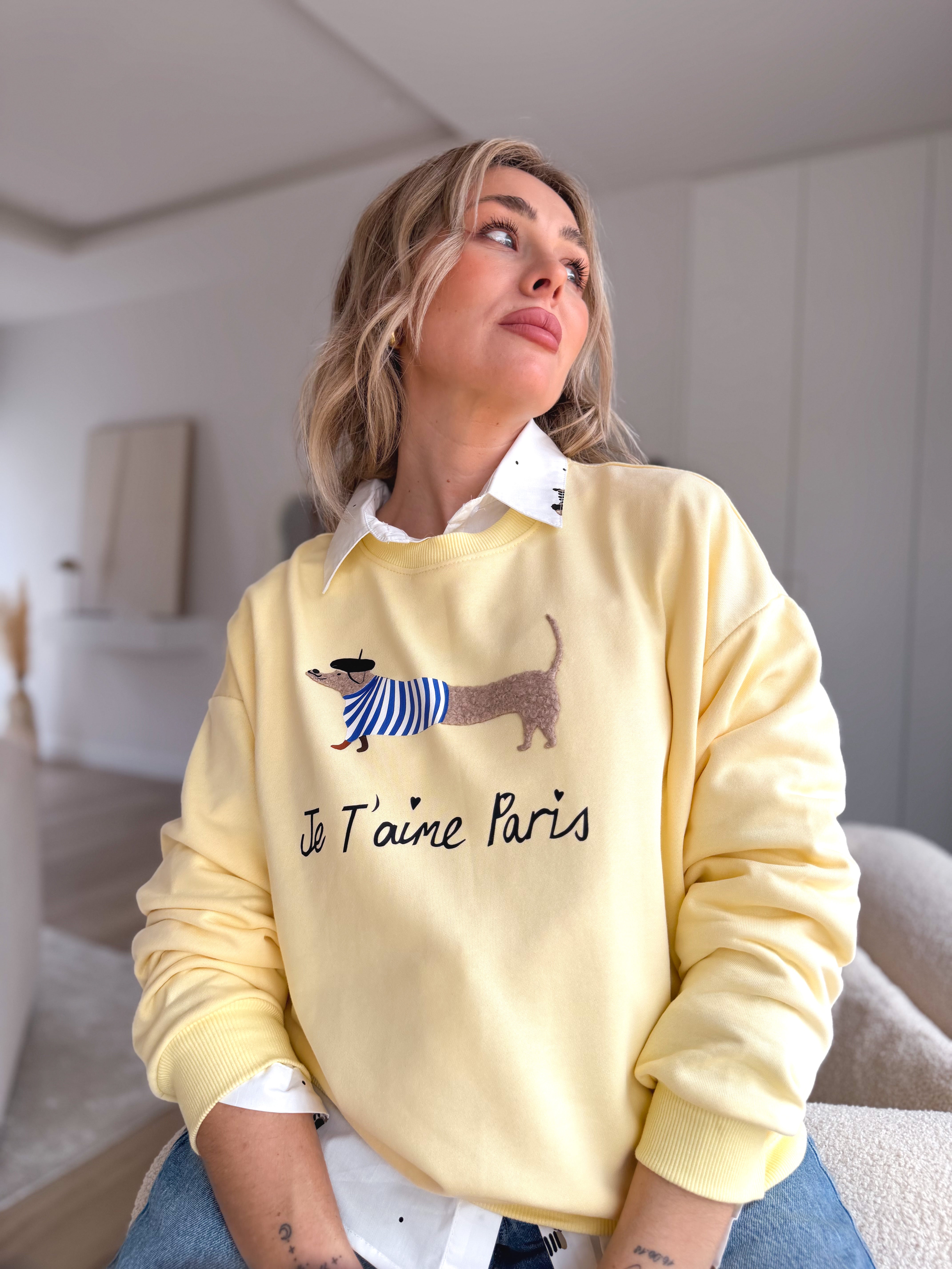 Sudadera Dog amarillo